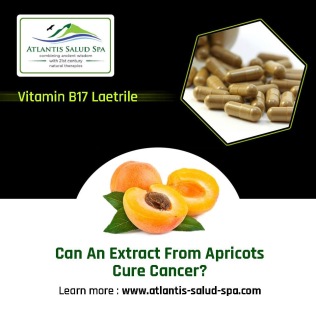 vitamin B17 treatment